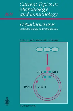 Mason / Seeger |  Hepadnaviruses | Buch |  Sack Fachmedien