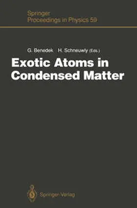 Schneuwly / Benedek | Exotic Atoms in Condensed Matter | Buch | 978-3-642-76372-4 | sack.de