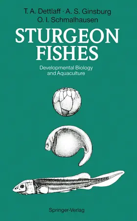 Dettlaff / Ginsburg / Schmalhausen |  Sturgeon Fishes | Buch |  Sack Fachmedien