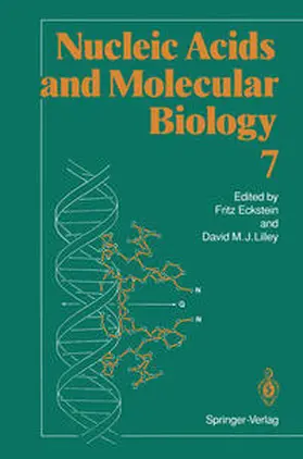 Eckstein / Lilley |  Nucleic Acids and Molecular Biology | eBook | Sack Fachmedien