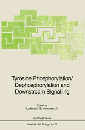 Heilmeyer | Tyrosine Phosphorylation/Dephosphorylation and Downstream Signalling | E-Book | www.sack.de