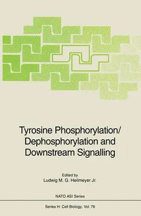 Heilmeyer | Tyrosine Phosphorylation/Dephosphorylation and Downstream Signalling | Buch | 978-3-642-78249-7 | www.sack.de