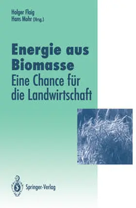 Flaig / Mohr |  Energie aus Biomasse | eBook | Sack Fachmedien