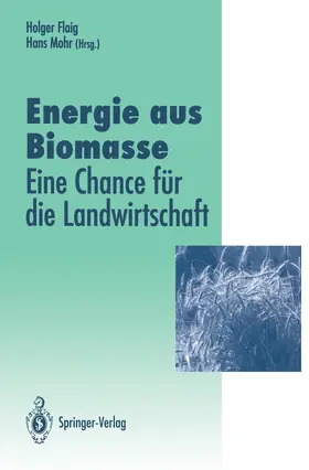 Flaig / Mohr |  Energie aus Biomasse | Buch |  Sack Fachmedien