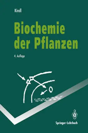 Kindl |  Biochemie der Pflanzen | eBook | Sack Fachmedien
