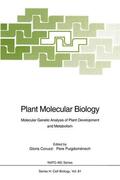 Puigdomenech / Coruzzi |  Plant Molecular Biology | Buch |  Sack Fachmedien