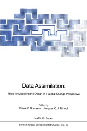 Brasseur / Nihoul |  Data Assimilation | Buch |  Sack Fachmedien