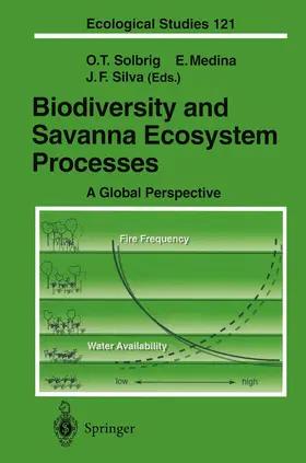 Solbrig / Medina / Silva |  Biodiversity and Savanna Ecosystem Processes | Buch |  Sack Fachmedien