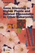 Meyer |  Gene Silencing in Higher Plants and Related Phenomena in Other Eukaryotes | Buch |  Sack Fachmedien
