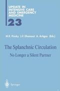 Pinsky / Artigas / Dhainaut |  The Splanchnic Circulation | Buch |  Sack Fachmedien