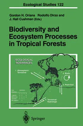 Orians / Dirzo / Cushman |  Biodiversity and Ecosystem Processes in Tropical Forests | eBook | Sack Fachmedien