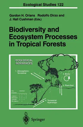 Orians / Dirzo / Cushman |  Biodiversity and Ecosystem Processes in Tropical Forests | Buch |  Sack Fachmedien