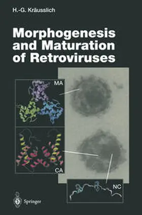 Kräusslich |  Morphogenesis and Maturation of Retroviruses | eBook | Sack Fachmedien