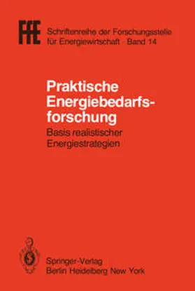 Schaefer |  Praktische Energiebedarfsforschung | eBook | Sack Fachmedien