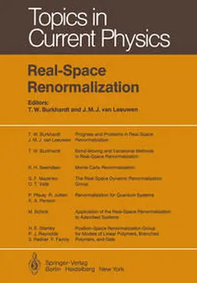 Burkhardt / Leeuwen |  Real-Space Renormalization | eBook | Sack Fachmedien