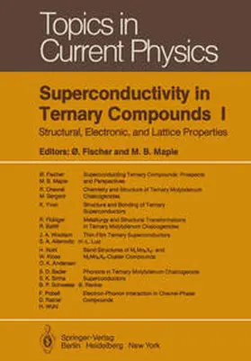 Fischer / Maple |  Superconductivity in Ternary Compounds I | eBook | Sack Fachmedien