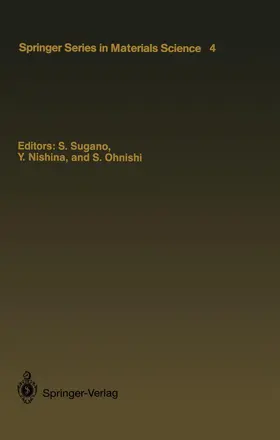 Sugano / Ohnishi / Nishina |  Microclusters | Buch |  Sack Fachmedien