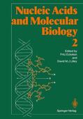 Lilley / Eckstein |  Nucleic Acids and Molecular Biology | Buch |  Sack Fachmedien