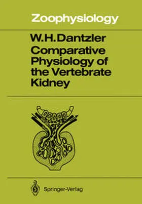 Dantzler |  Comparative Physiology of the Vertebrate Kidney | eBook | Sack Fachmedien
