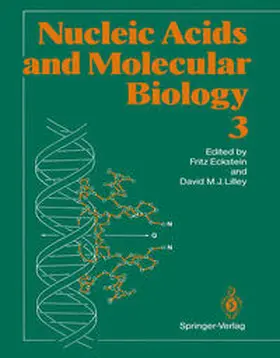 Eckstein / Lilley |  Nucleic Acids and Molecular Biology | eBook | Sack Fachmedien