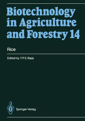 Bajaj |  Rice | eBook | Sack Fachmedien