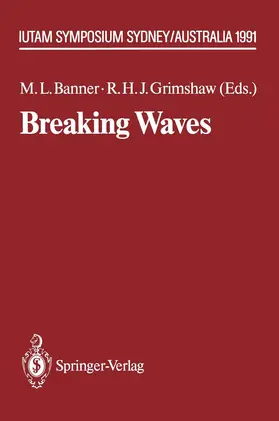 Banner / Grimshaw |  Breaking Waves | Buch |  Sack Fachmedien