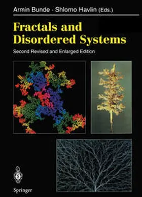 Bunde / Havlin |  Fractals and Disordered Systems | eBook | Sack Fachmedien