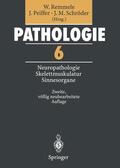 Peiffer / Schröder |  Pathologie | Buch |  Sack Fachmedien
