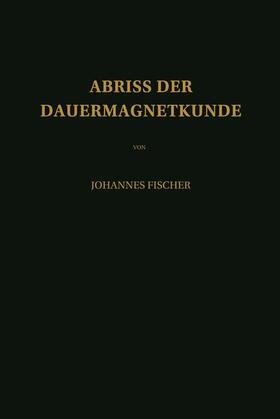 Fischer |  Abriss der Dauermagnetkunde | Buch |  Sack Fachmedien