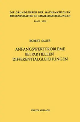 Sauer |  Anfangswertprobleme bei Partiellen Differentialgleichungen | eBook | Sack Fachmedien