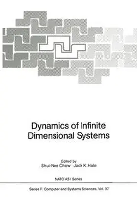 Chow / Hale |  Dynamics of Infinite Dimensional Systems | eBook | Sack Fachmedien
