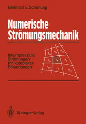 Schönung |  Numerische Strömungsmechanik | eBook | Sack Fachmedien