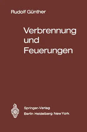 Günther |  Verbrennung und Feuerungen | eBook | Sack Fachmedien