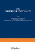 Stern / Wilmanns / Foerster |  Die Epidemische Encephalitis | Buch |  Sack Fachmedien