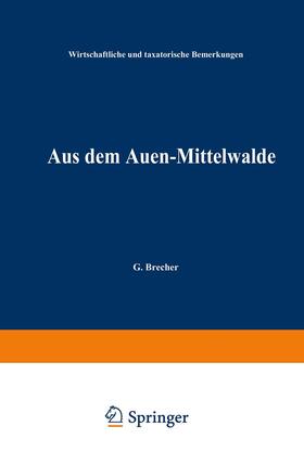 Brecher | Aus dem Auen-Mittelwalde | Buch | 978-3-642-89567-8 | sack.de
