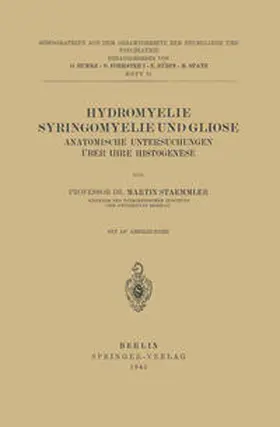 Staemmler / Bumke / Foerster |  Hydromyelie Syringomyelie und Gliose | eBook | Sack Fachmedien