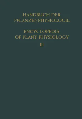 Stocker |  Pflanze und Wasser / Water Relations of Plants | Buch |  Sack Fachmedien