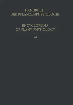 Mothes |  Heterotrophie / Heterotrophy | Buch |  Sack Fachmedien