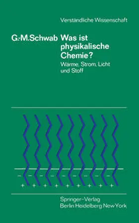 Schwab | Was ist physikalische Chemie? | E-Book | www.sack.de
