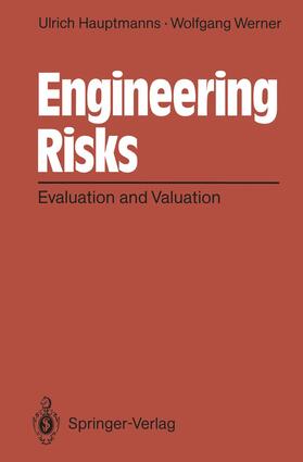 Werner / Hauptmanns |  Engineering Risks | Buch |  Sack Fachmedien