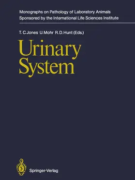 Jones / Mohr / Hunt |  Urinary System | Buch |  Sack Fachmedien