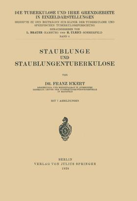 Ickert / Ulrici / Brauer | Staublunge und Staublungentuberkulose | Buch | 978-3-642-98537-9 | sack.de