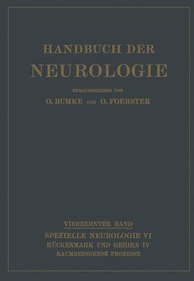 Antoni / Henneberg / McLean | Raumbeengende Prozesse | Buch | 978-3-642-98883-7 | sack.de