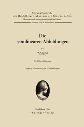 Graeub | Die semilinearen Abbildungen | E-Book | sack.de