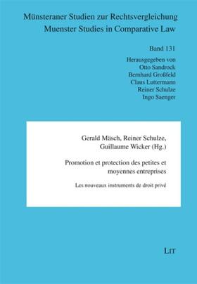 Mäsch / Schulze / Wicker | Promotion et protection des petites et moyennes entreprises | Buch | 978-3-643-11557-7 | sack.de