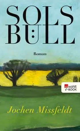 Missfeldt |  Solsbüll | eBook | Sack Fachmedien