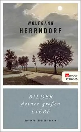 Herrndorf | Bilder deiner großen Liebe | E-Book | www.sack.de