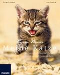 Heuser / Dorn |  Meine Katze | eBook | Sack Fachmedien