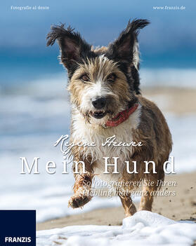 Heuser | Mein Hund - So fotografieren Sie Ihren Liebling mal ganz anders | Buch | 978-3-645-60358-4 | sack.de