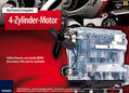 Riegler |  4-Zylinder-Motor | Buch |  Sack Fachmedien